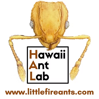 Hawaii Ant Lab