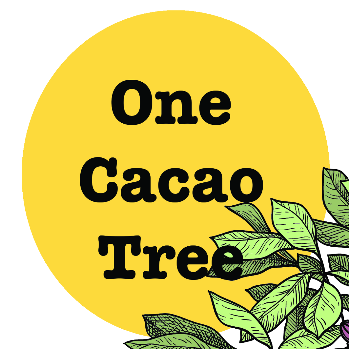 One Cacao Tree