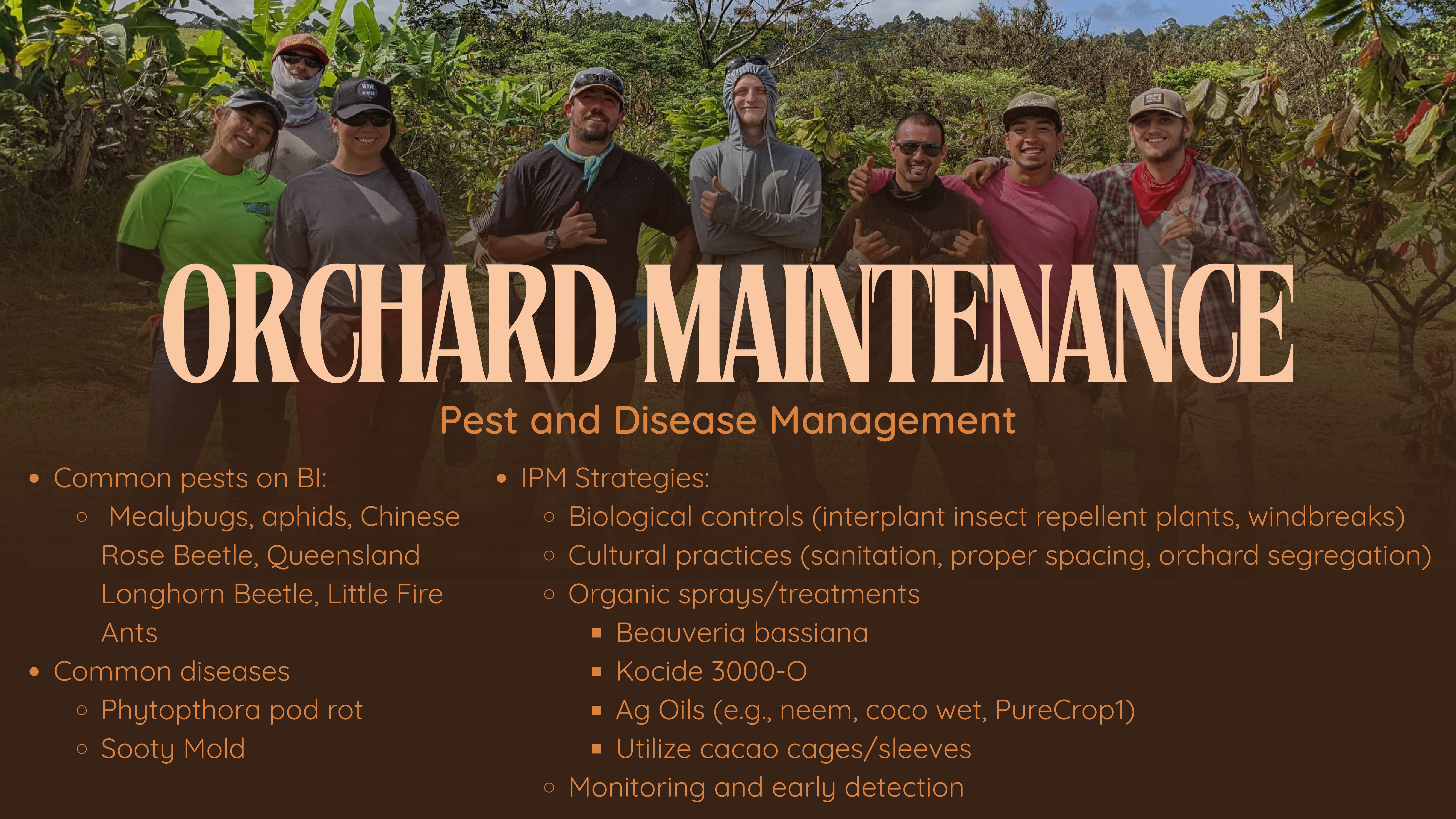 Slide 11