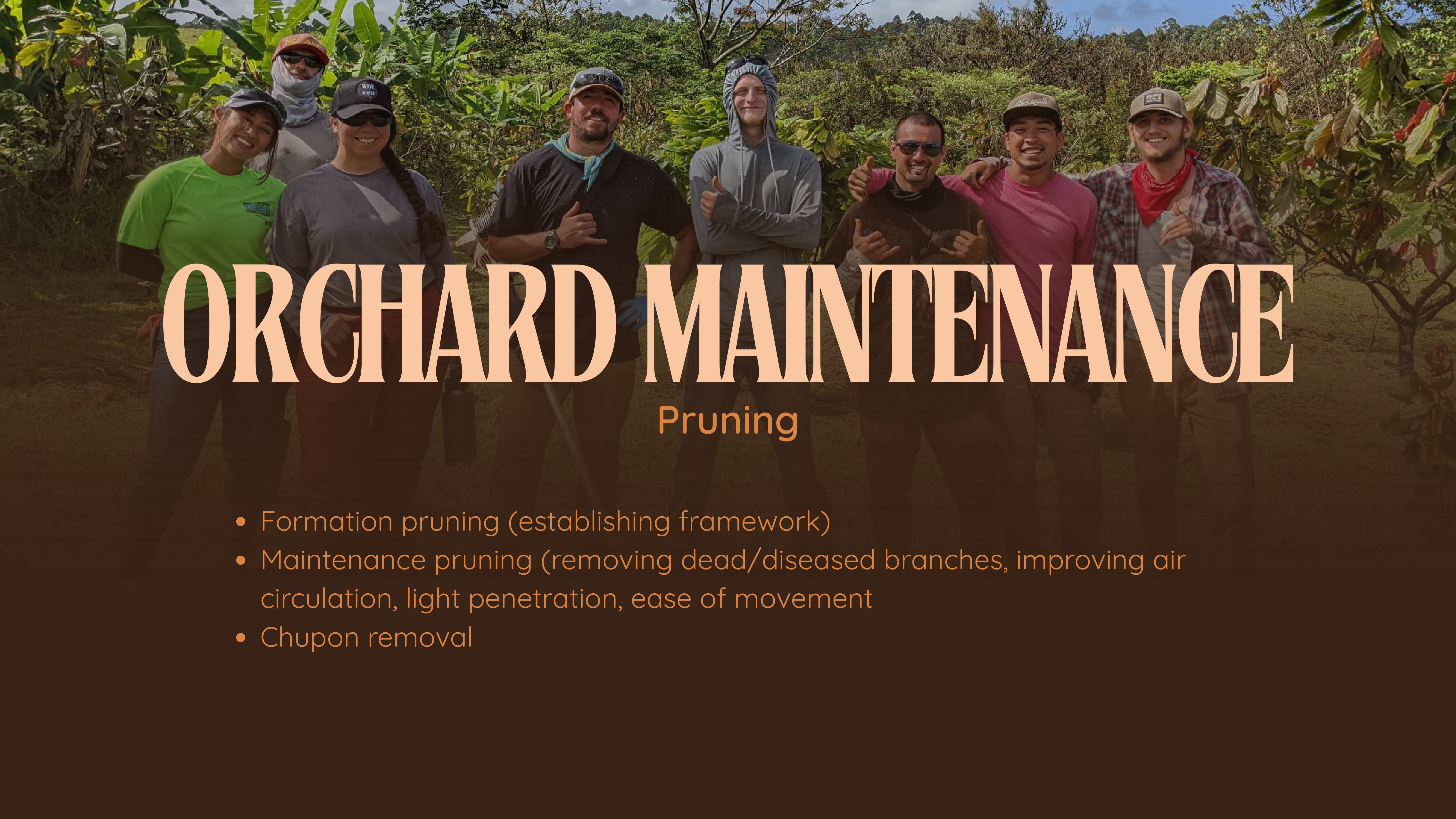 Slide 10