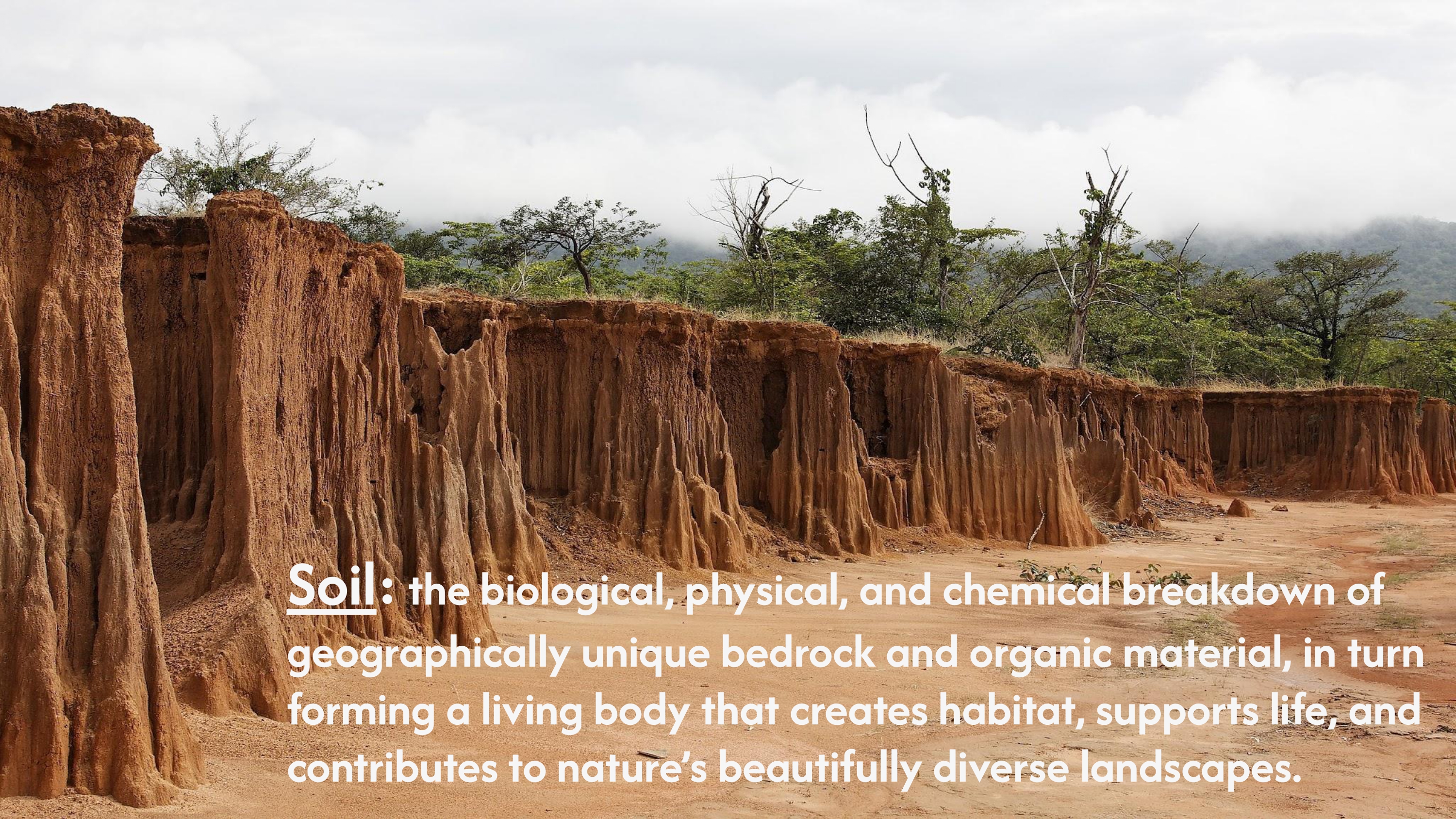 Soil orders map and classification