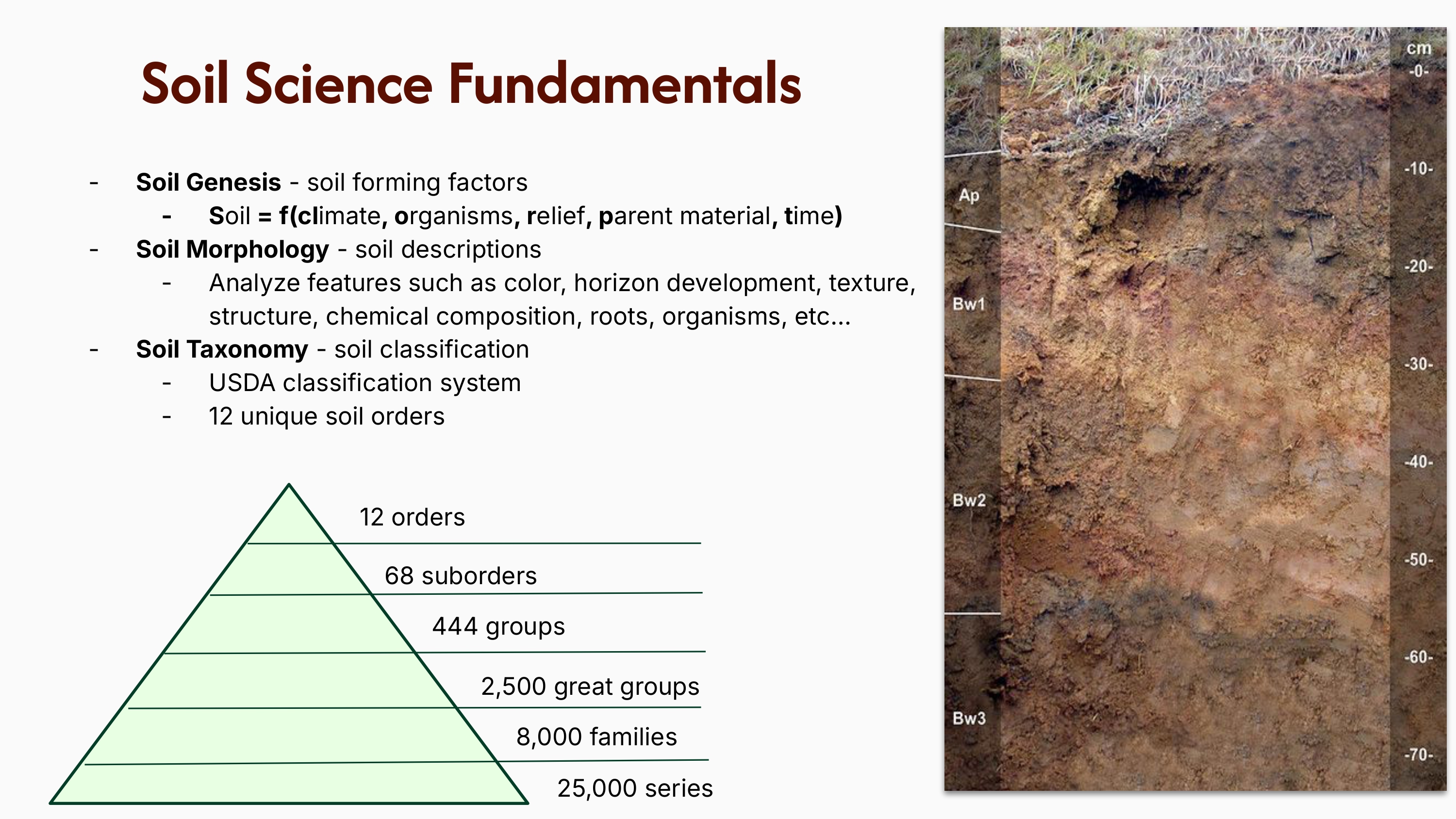 Hawaii soil distribution