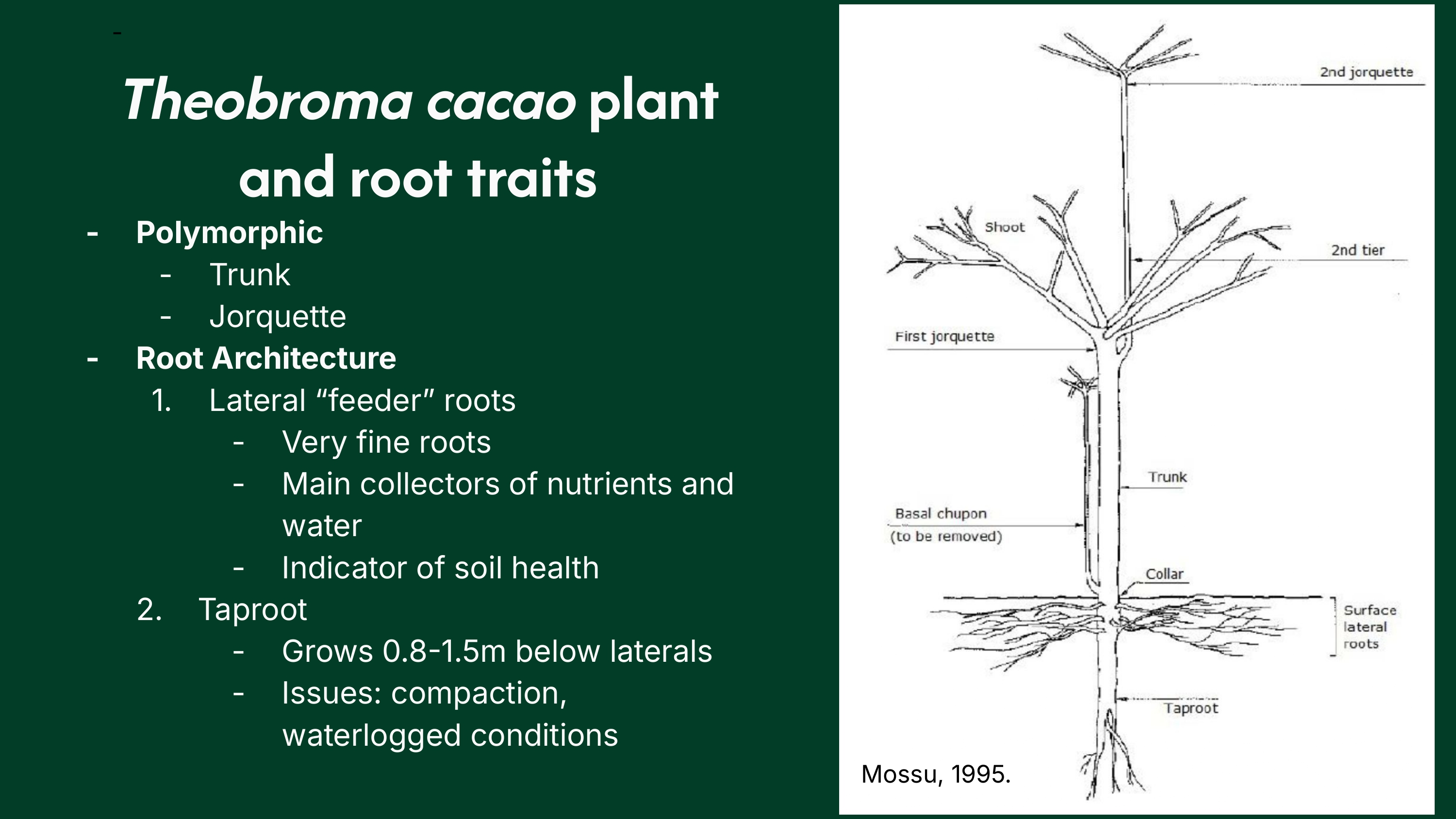 Soil health definition