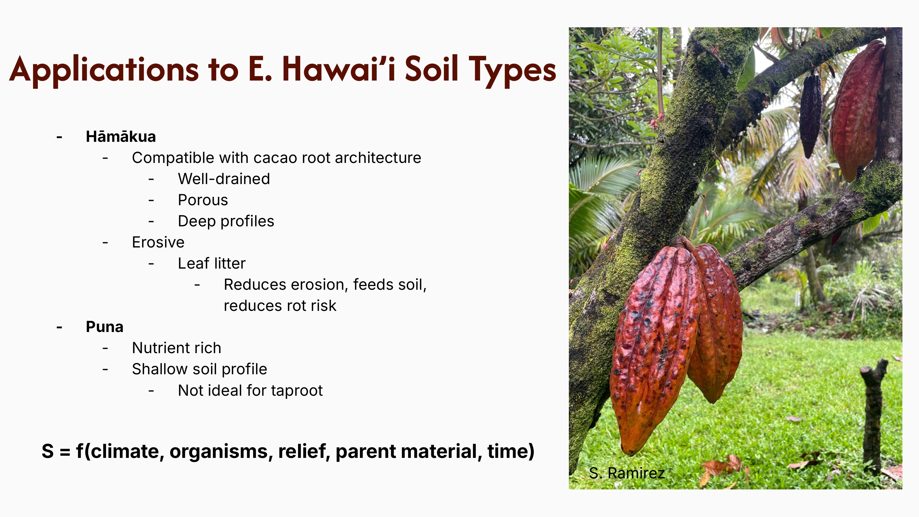 Soil biology and microbes