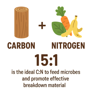 carbon:nitrogen